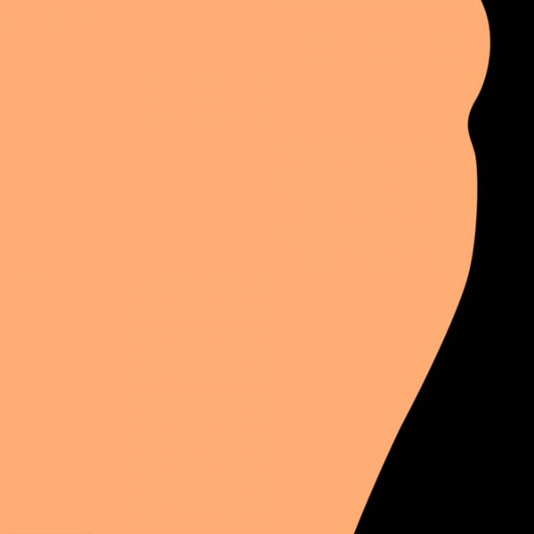 Creation of Annabat: Step 1